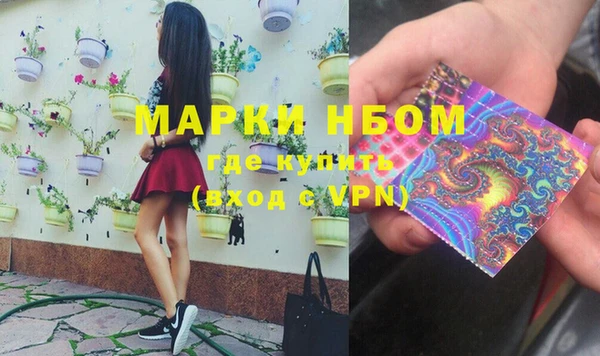 гидра Абаза