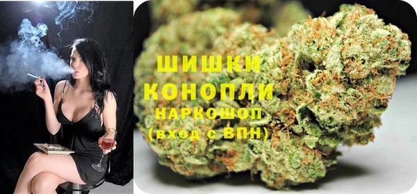 гидра Абаза
