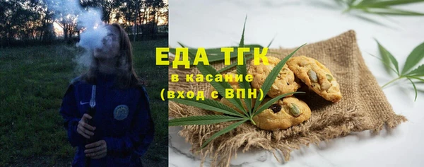 гидра Абаза